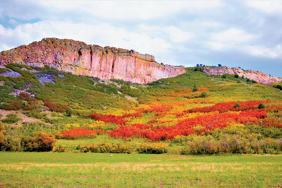 GOLD RUSH 2021: Colorado’s Other Fall Colors